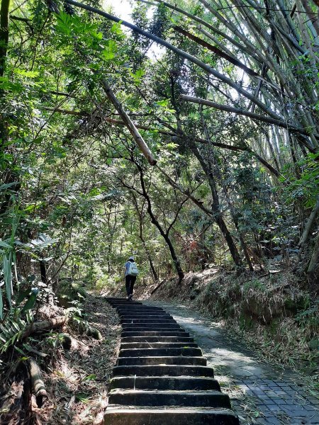 《南投》中興新村虎山步道心型2008161068770