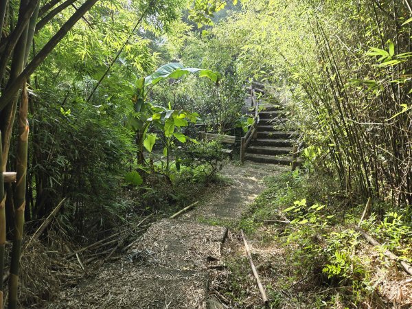 20260806金坑溪步道-頂草埔尾山-三界壇聖德宮-法鼓山-拾浪咖啡封面