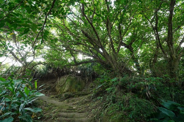新北 金山 金包里山、磺港山2780943