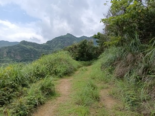 瑞芳區南子吝步道+南子吝稜+南子吝山+南子吝步道P字走2798459