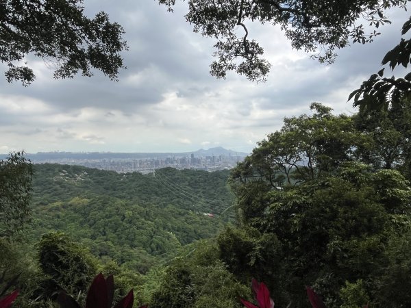 [微笑山線_第五段] 2025_0705 天上山系_南勢角山2830439