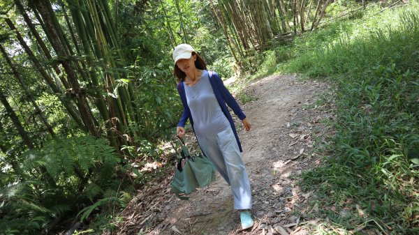 澀水森林步道登山健行趣(步道)2259847