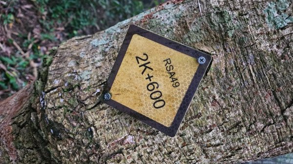 出關古道：十份崠段2700619