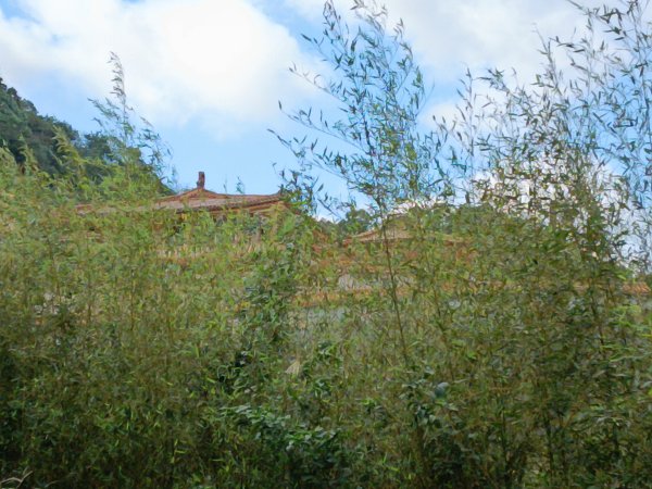 雙溪區聖南寺朝山古道+大竹林山(未果)2963592