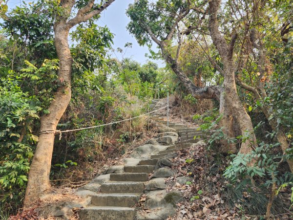 小百岳No.75⛰觀音山3025131