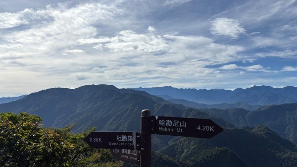 雲海2835146