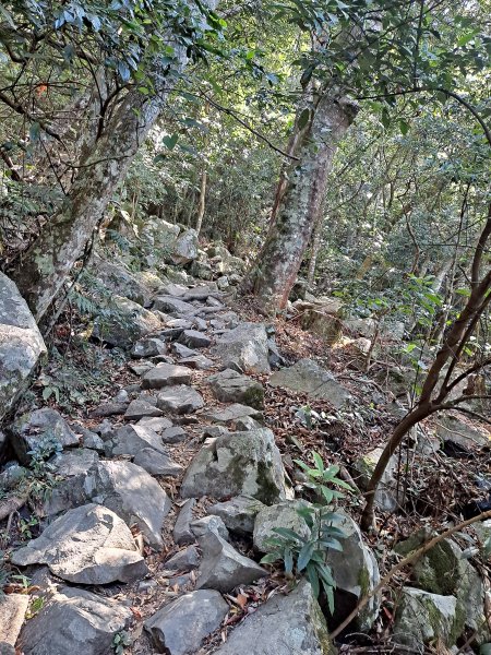 東卯山－大道院線(2022.10.07)1926136