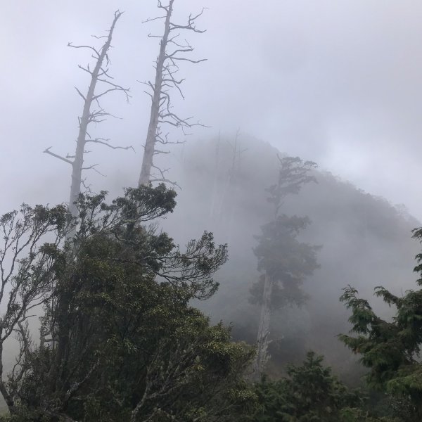 埔里六秀、中部四大名山:守城大山         隊名:鯛魚燒埔里訓練1506114