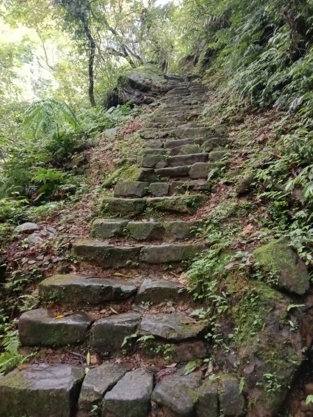 基隆市暖東舊道+頂子寮山+五分山步道(五分山)去回2946199