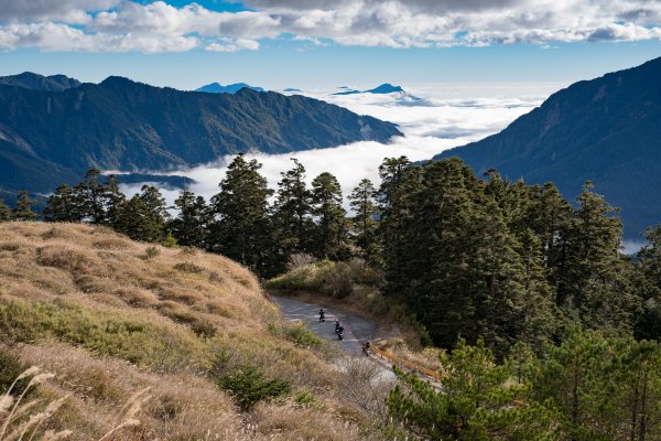 合歡北峰-圓柏的視野466861