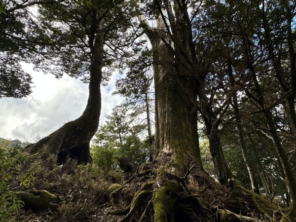 2025_1215圓峰縱走多尾蘭山出天池