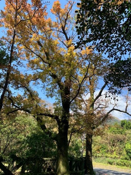 紗帽山登山步道—橫嶺古道—前山公園1966123