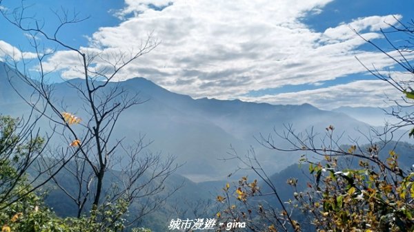 【南投魚池】後尖山步道2968309