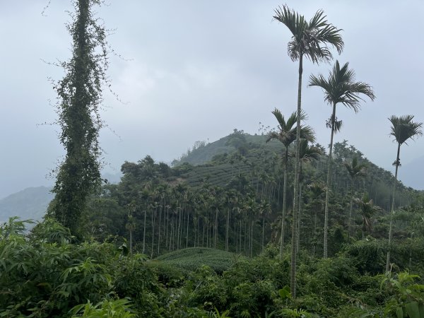 2023_0429_挑筍古道2138238