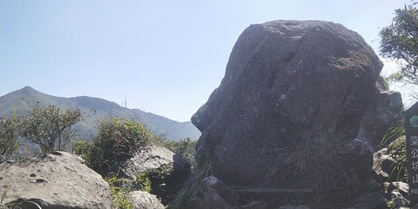 大屯自然公園，菜公坑山，巴拉卡山，逛逛趣1275499