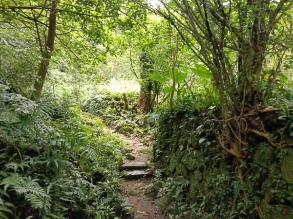 瑞芳區後凹古道+金字碑古道+三貂嶺山+三貂大崙O型2761685