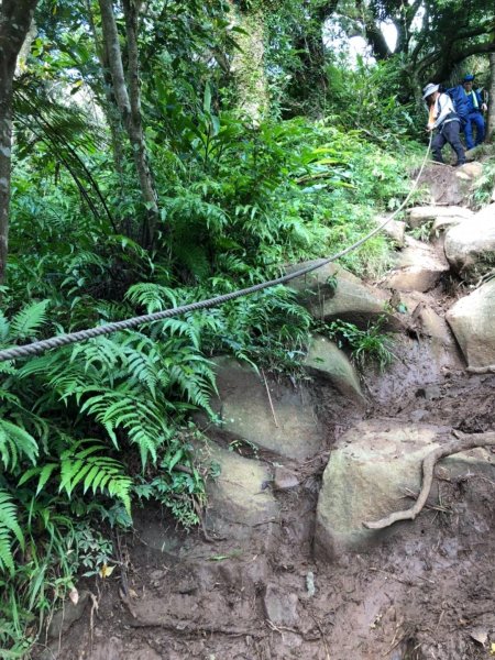 大屯山西峰542112