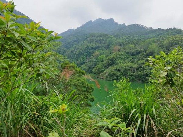 地震後的自然遺跡#47小百岳~九份二山749720