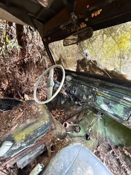 埔里能高瀑布-慶安步道-福興山1122峰（建議逆時針O繞）3004491