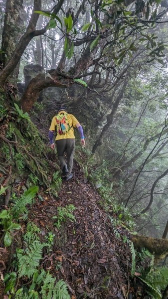 113.06.01魯壁山-東穗山之旅2529881