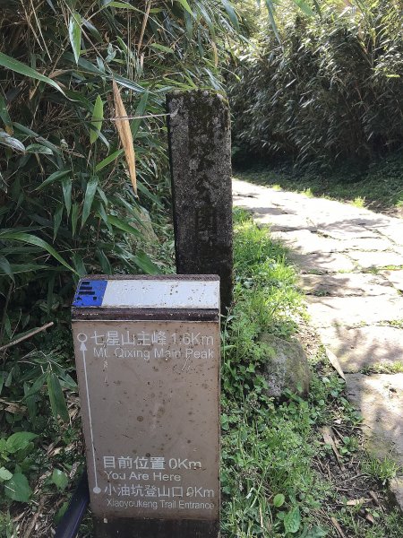 ~  臺北大縱走  第三段  ~1369426