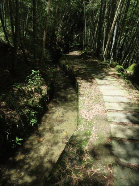 小半天孟宗竹林古戰場+長源圳生態步道Ｏ形2877860