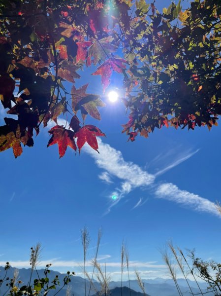 馬那邦山賞楓趣1549591