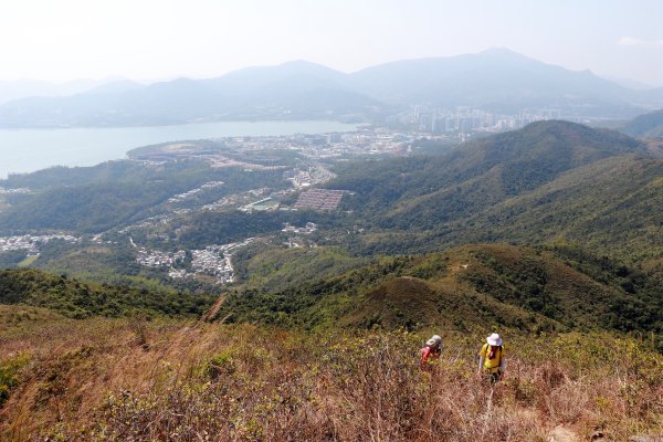 HK - 觀音脊、八仙嶺1465870