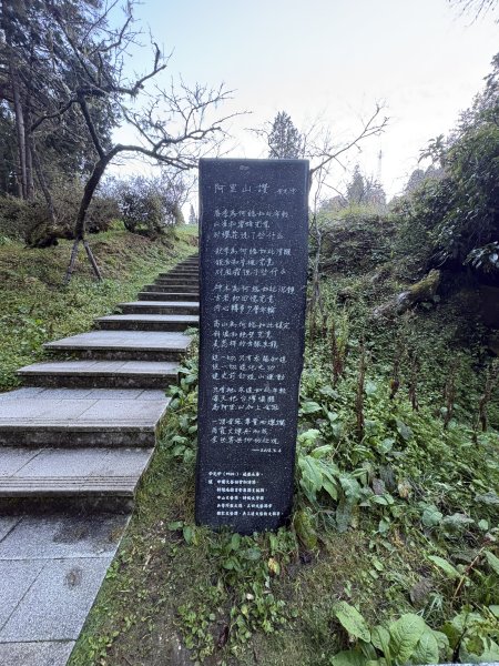 20251225塔山步道(大塔山)2970235