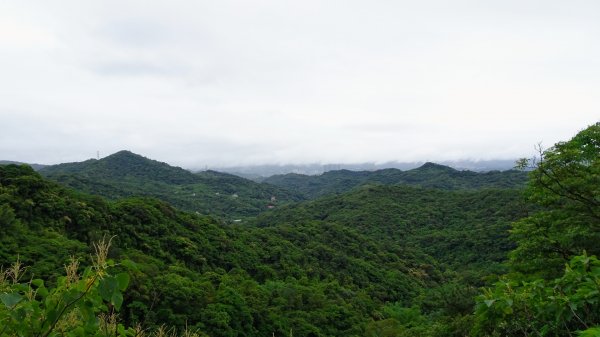 汐止八連路1716770