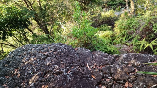 百大：軍艦岩、丹鳳山親山步道1782431