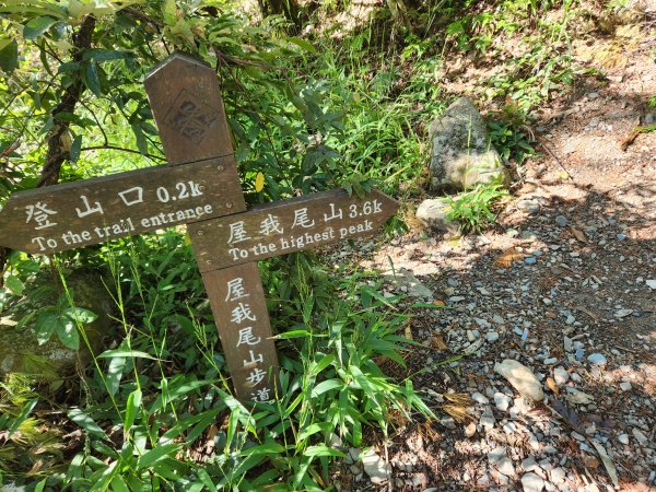 20230924 谷關雙雄，屋東縱走（屋我尾山，東卯山）2293421