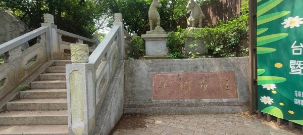 羊稠森林步道2776990