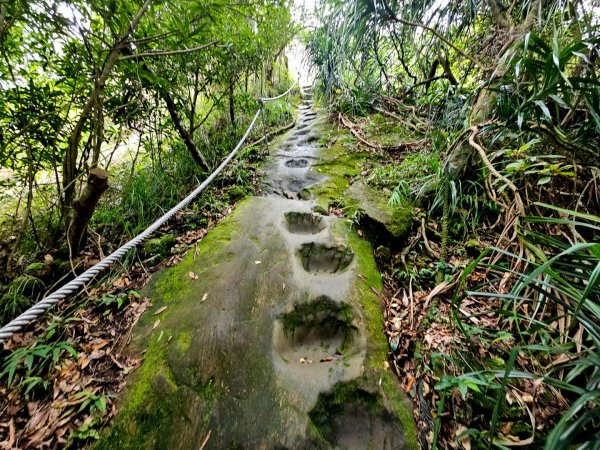 (五分山系)平溪小黃山-2025微笑山線大縱走尋寶集章任務2855304