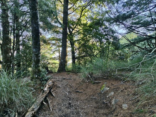 北一段(02/14)多加屯前峰2025_0906~132885121