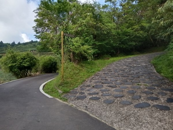 坪林區司公髻尾山+虎寮潭吊橋+粗石斛吊橋+大舌湖步道+漁光派出所2794276