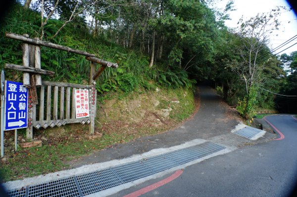 新竹 五峰 鵝公髻山2916832