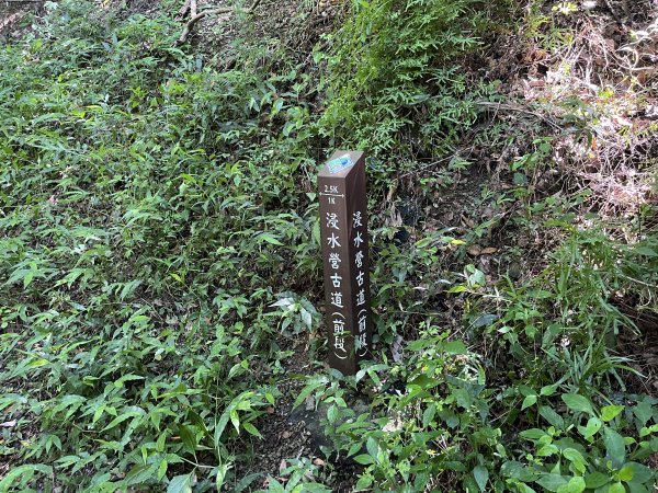 [屏步青雲 尋寶任務-04/10] 2024_0917 浸水營步道（前段）2597931