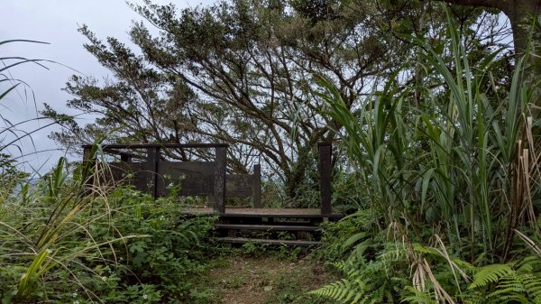 114.06.07過港山-四腳亭砲台-深澳坑砲台山之旅2806577