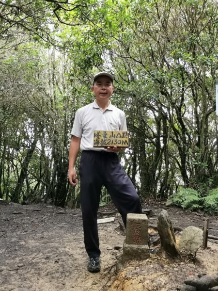 拉拉山巨木步道-塔曼山步道_202407022569708