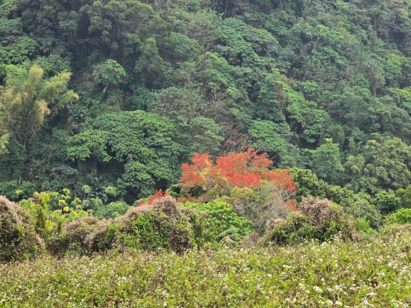林牛山+聚興山2709924