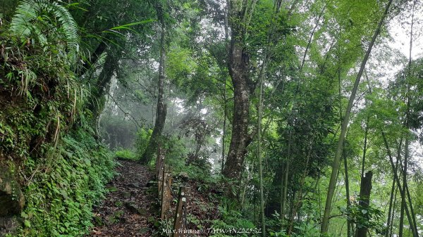 《雲林》望好望角｜石壁山嘉南雲峰步道(中側登山口）202506072805351