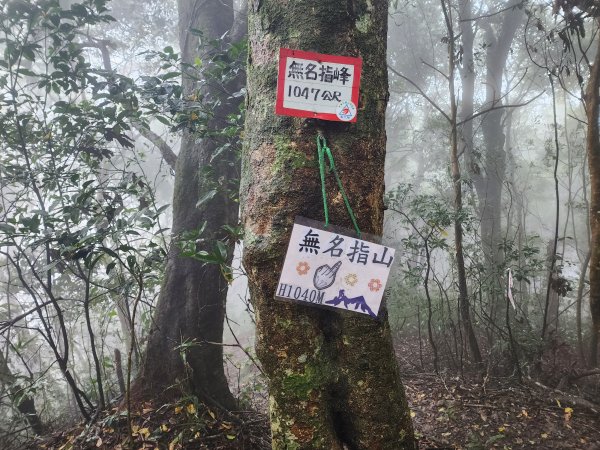 20241208上坪登五指山2683668