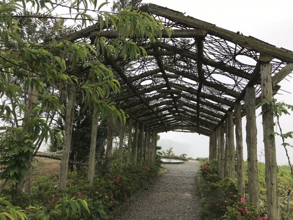 110年4月25日雲林  雲嶺之丘 五元二角 木馬古道1456572
