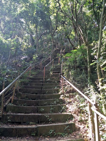 南觀音山步道374792