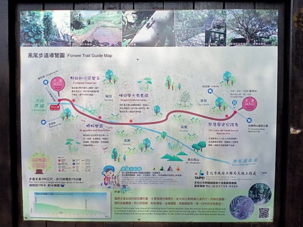 陽春三月暢遊風尾步道→十八份水圳步道→陽峰古道→陽明公園→湖山綠地→橫嶺古道→半嶺步道→猴洞→天母2047567