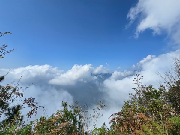 東卯山／東卯山西峰+賞山櫻花2715997