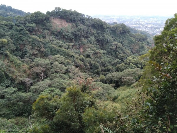 鼓山尖峰泡茶趣---田中森林登山步道815369