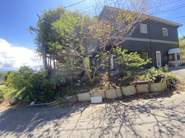 2025微笑山線大縱走尋寶集章任務-Ep.02【大棟山系】百年大榕樹2884770