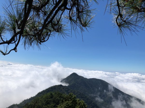 鳶嘴稍來國家步道季秋縱走1144497